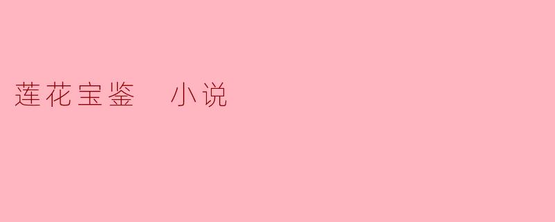 莲花宝鉴 小说